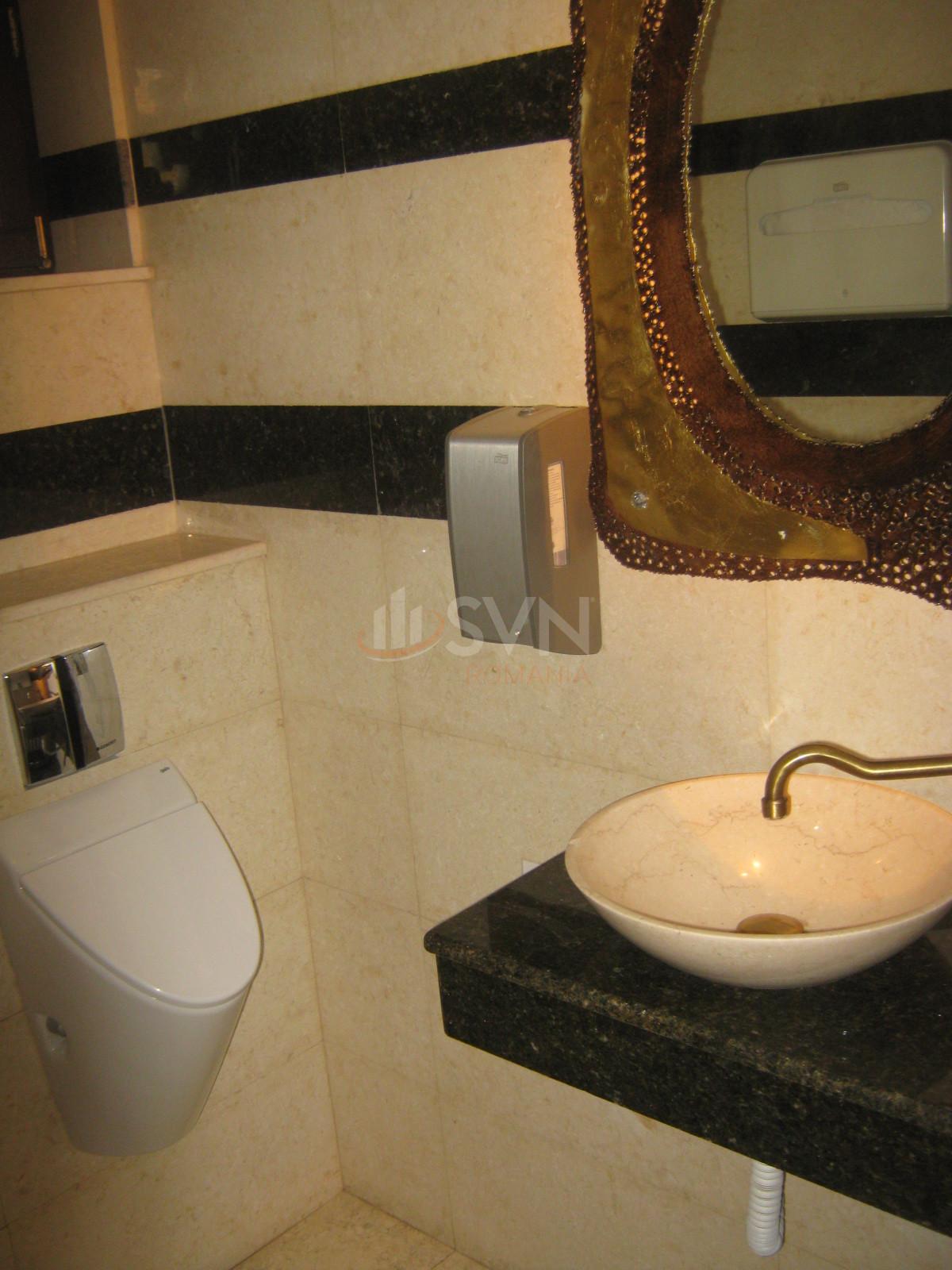 Casa, 6 camere, Bucuresti / Ultracentral / Cismigiu - 10