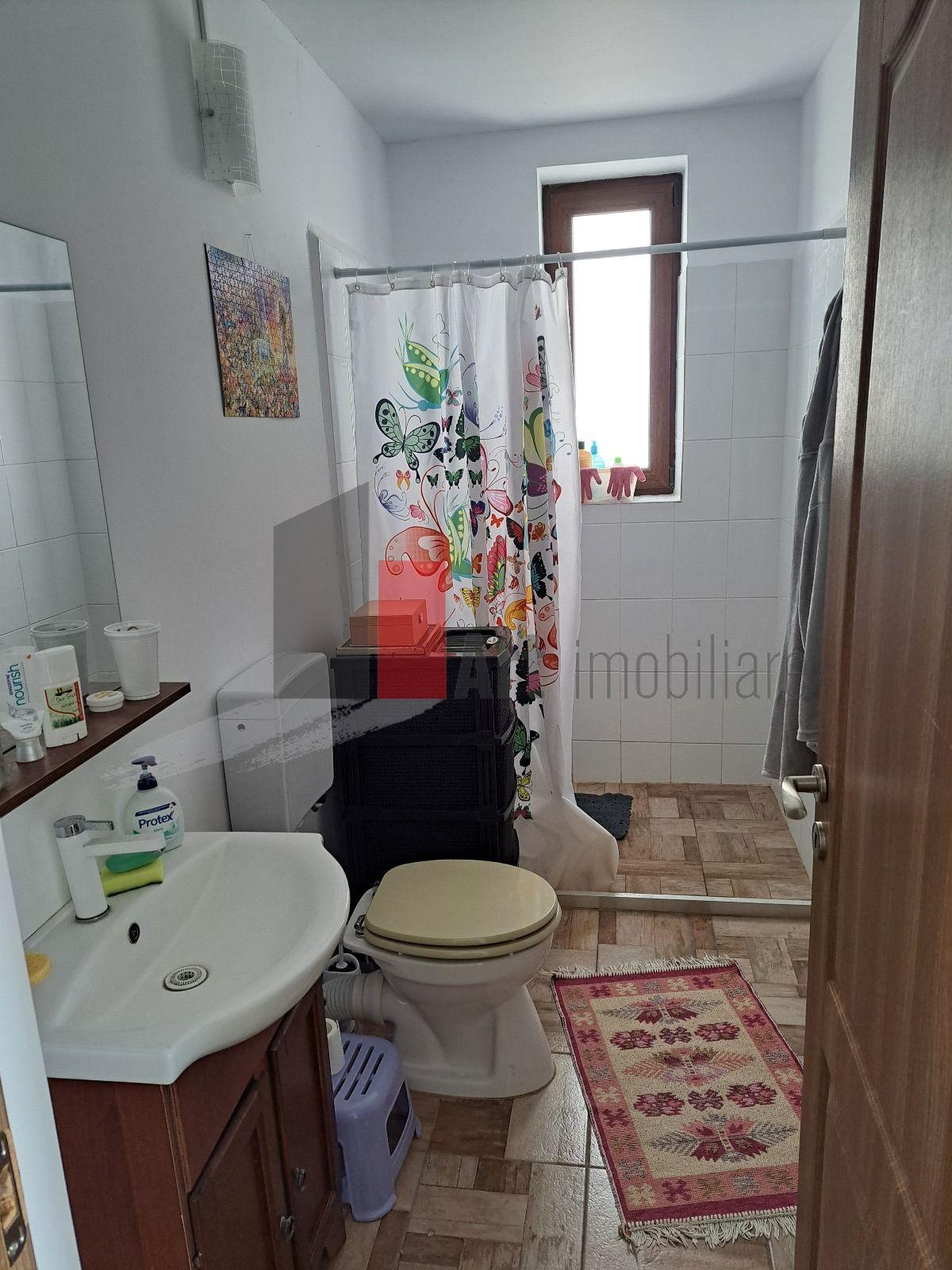 Casa individuala Valu lu Traian - teren mare 1000 mp - 15