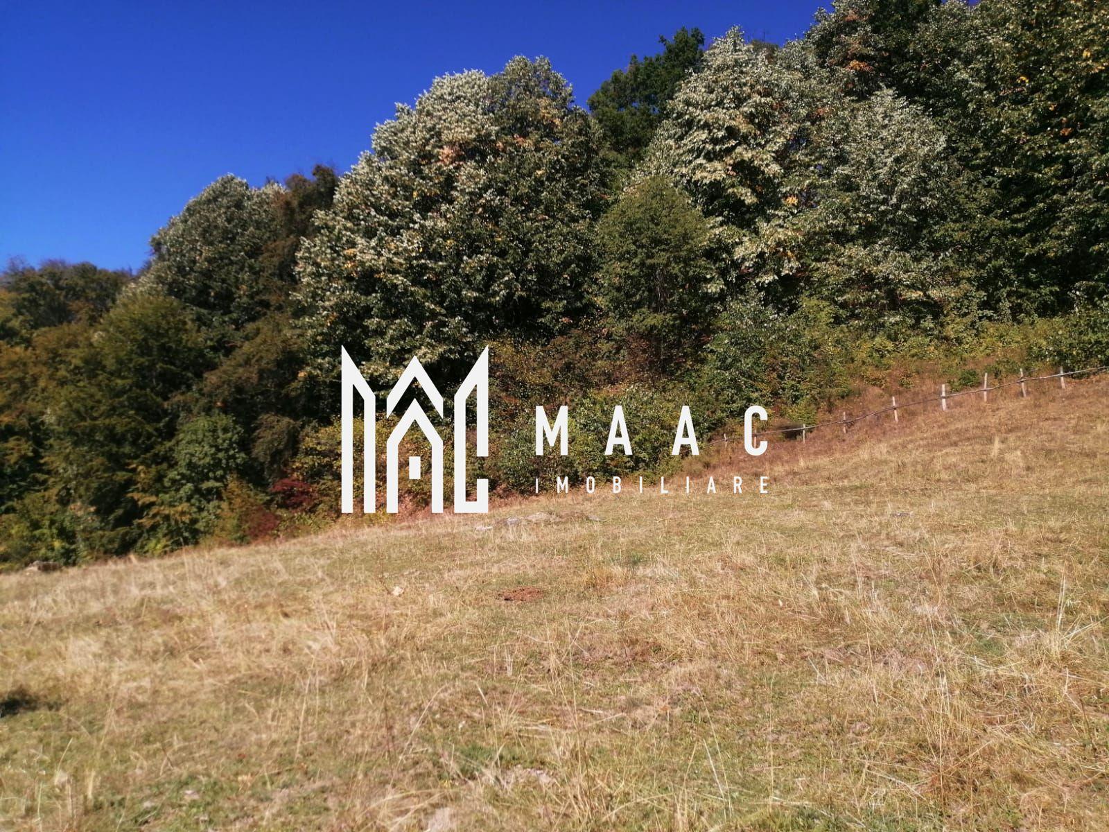 Teren Extravilan 20.000Mp I Stoenești -Vâlcea I Apă Curentă și Pădure - 14