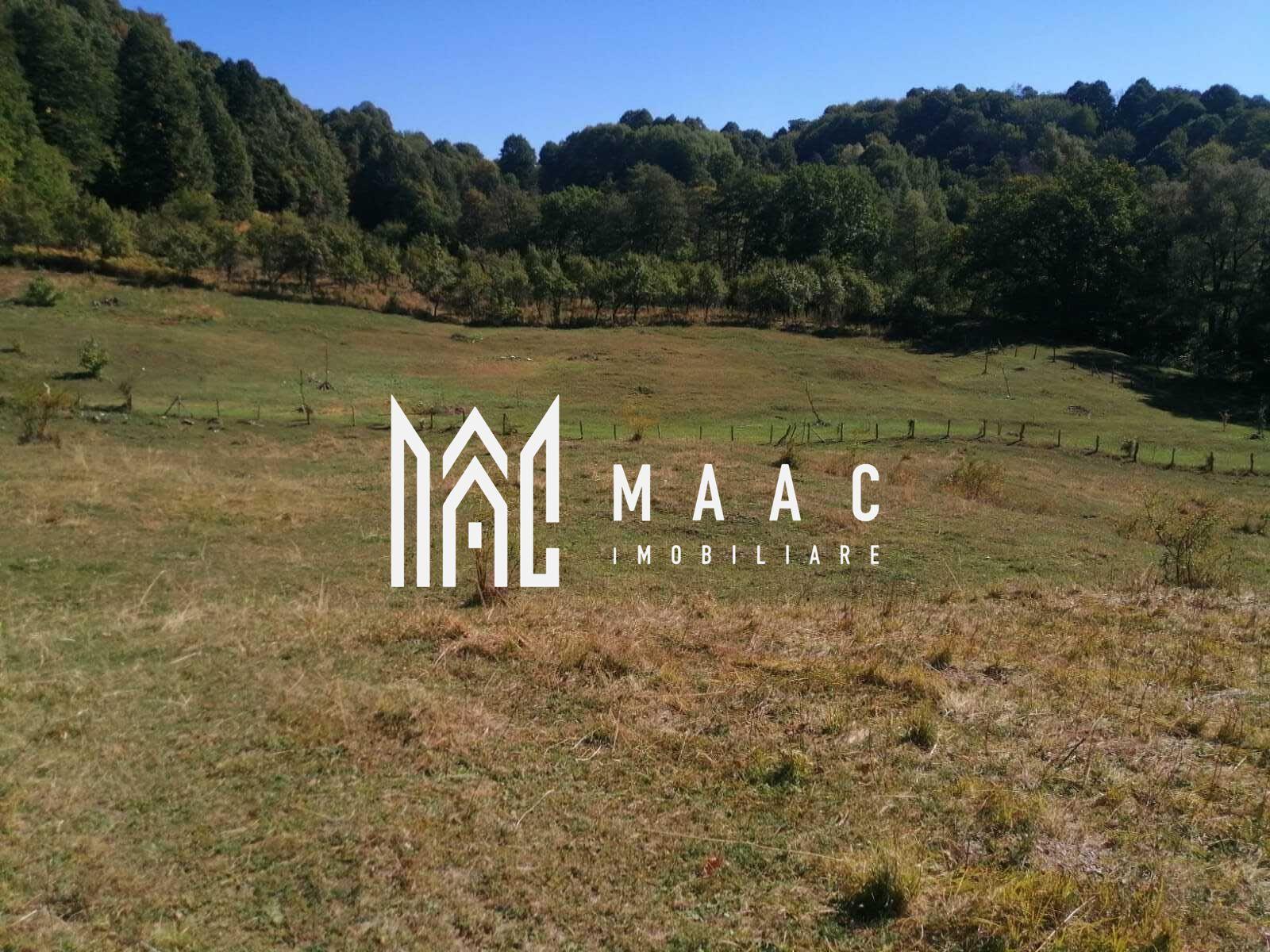 Teren Extravilan 20.000Mp I Stoenești -Vâlcea I Apă Curentă și Pădure - 2